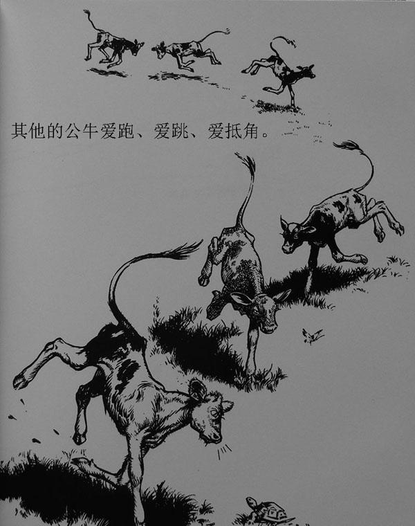 爱花的牛 (05),绘本,绘本故事,绘本阅读,故事书,童书,图画书,课外阅读